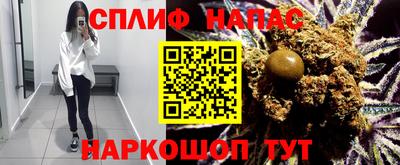 стаф Нальчик