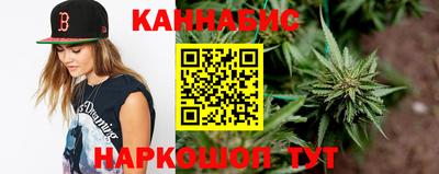 стаф Нальчик