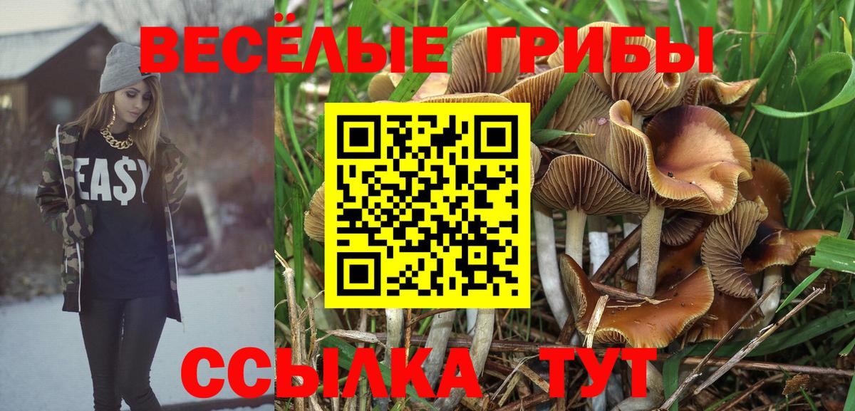 Галлюциногенные грибы Magic Shrooms  Вход с VPN  Псилоцибиновые грибы ЛСД  Севастополь 