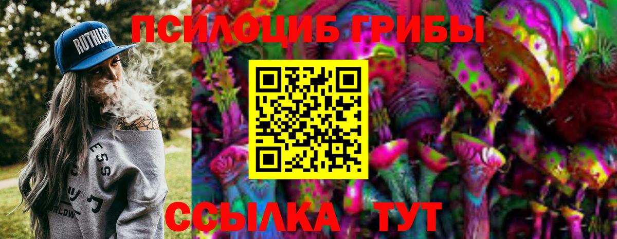 Псилоцибиновые грибы GOLDEN TEACHER Севастополь