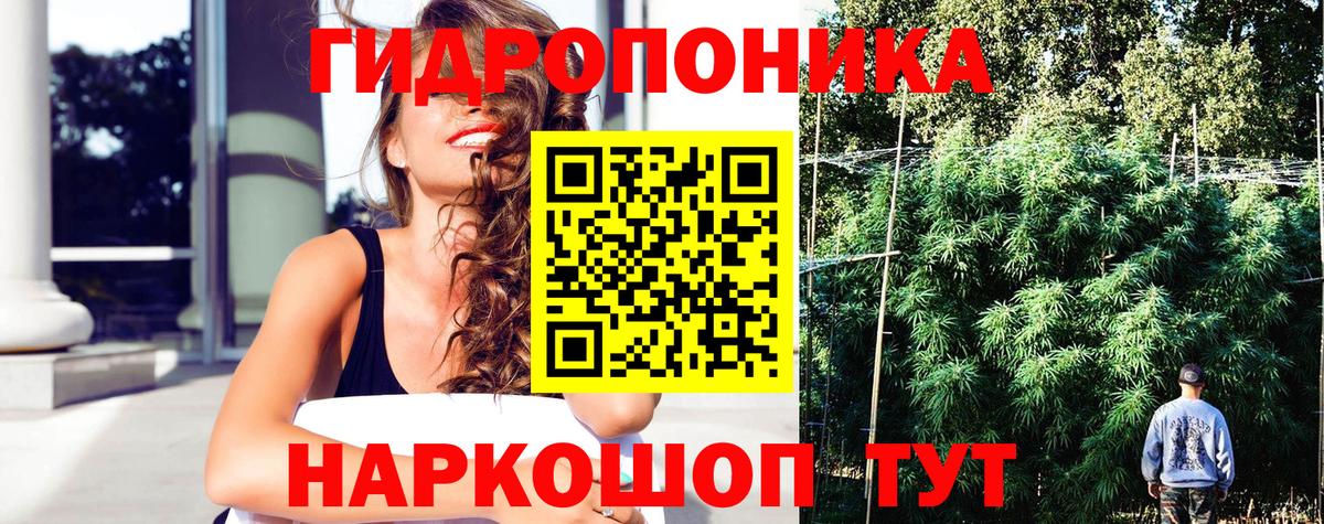 Севастополь  Бошки Шишки планчик  Марихуана Amnesia  Вход с VPN  МАРИХУАНА SATIVA & INDICA 